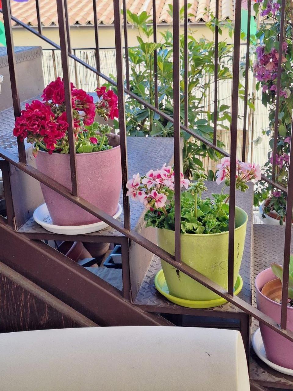 Sogni D'Oro Bed & Breakfast Agrigento Ngoại thất bức ảnh